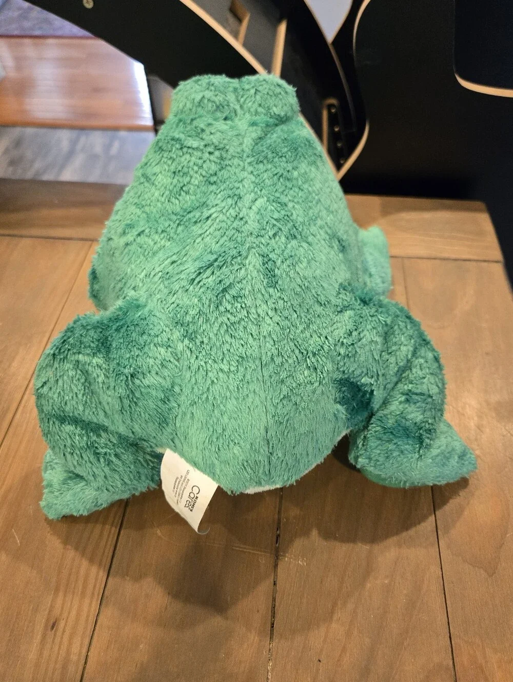 Green Plush Frog Kohls Cares Soft Stuffed Animal Leo Lionni Its Mine!